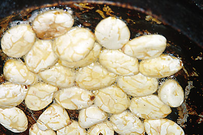 درخت موکامبو